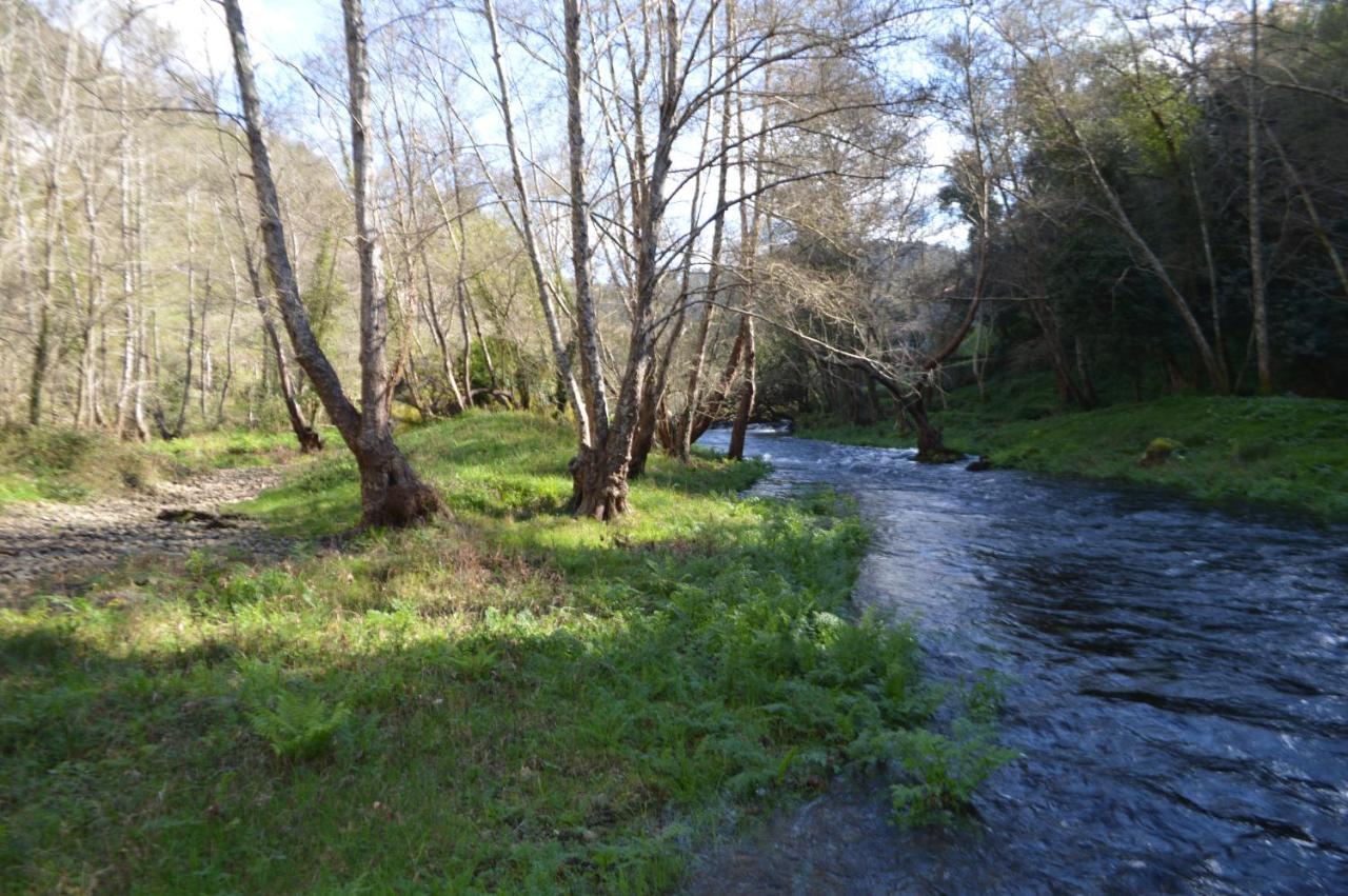 Las Palmeras Caldas De Reis Bagian luar foto